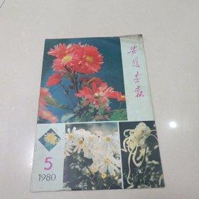 安徽画报 1980年5