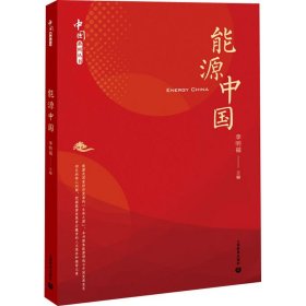 能源中国（中国系列丛书）