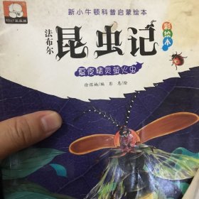 法布尔昆虫记（彩绘本）·夏夜精灵萤火虫