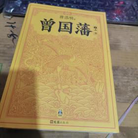 曾国藩（唐浩明 著）1血祭2野焚3黑雨（租48