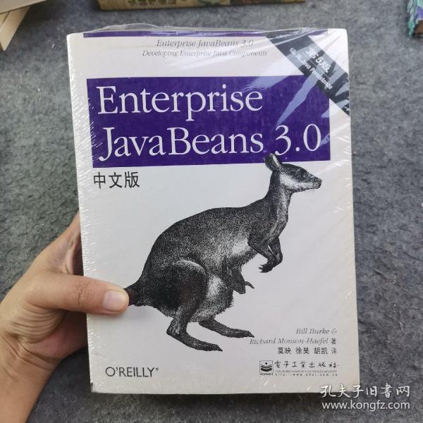 Enterprise JavaBeans 3.0中文版