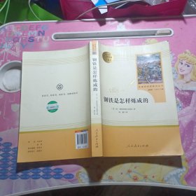 统编语文教材配套阅读 八年级下：钢铁是怎样炼成的/名著阅读课程化丛书