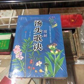 医学经典传统良方养生保健方法 图解汤头歌诀