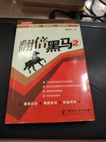 翻倍黑马.2
