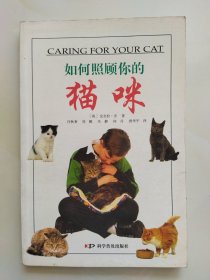 如何照顾你的猫咪