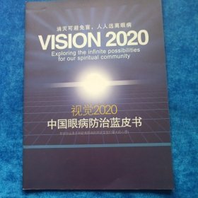 视觉2020 中国眼病防治蓝皮书