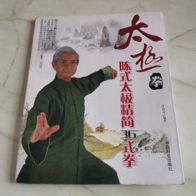 陈式太极精简36式拳