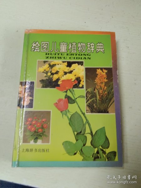 绘图儿童植物辞典