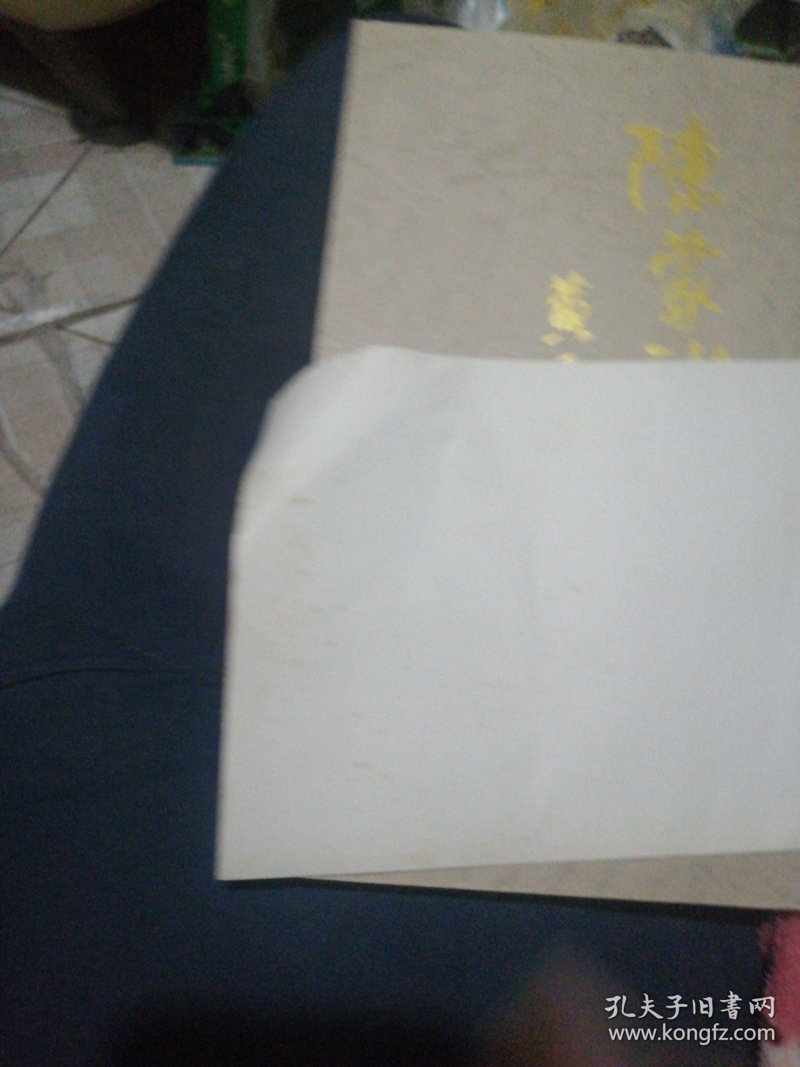 点击查看原图 世界冠军高敏在游泳池