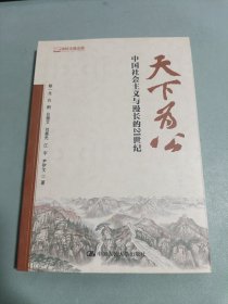 天下为公：中国社会主义与漫长的21世纪