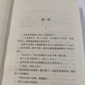 钢铁是怎样炼成的