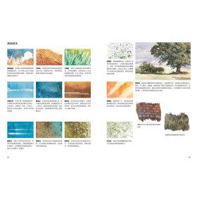 西方绘画技法经典教程·手把手教你画水彩画