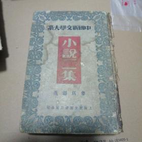 中国新闻学大系，小说二集