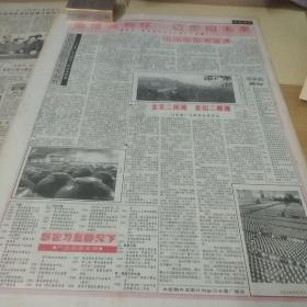 酒文化专题收藏～酒报一张。贵州日报。90年代。国家二级企业贵州习水酒厂专辑。整版。gj——192
