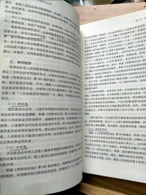 刑事诉讼法学 第四版