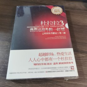 杜拉拉3：我在这战斗的一年里