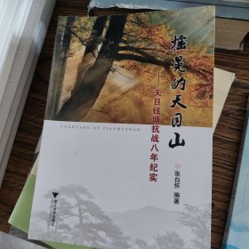 摇晃的天目山：天目钱塘抗战八年纪实