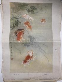 金仲鱼 金鱼 年画 1958年版