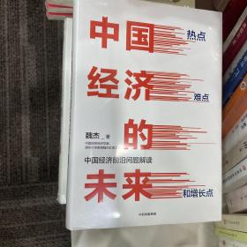 中国经济的未来：热点、难点和增长点