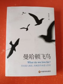曼哈顿飞鸟