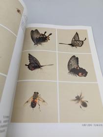 工笔花鸟画技法