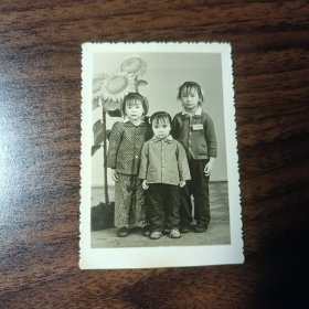 老照片–60年代三个小姐妹在照相馆留影（右边姐姐戴小学校徽，左侧向日葵背景很漂亮）