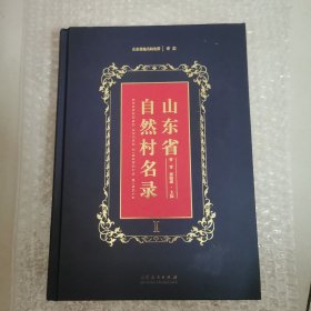 山东省自然村名录