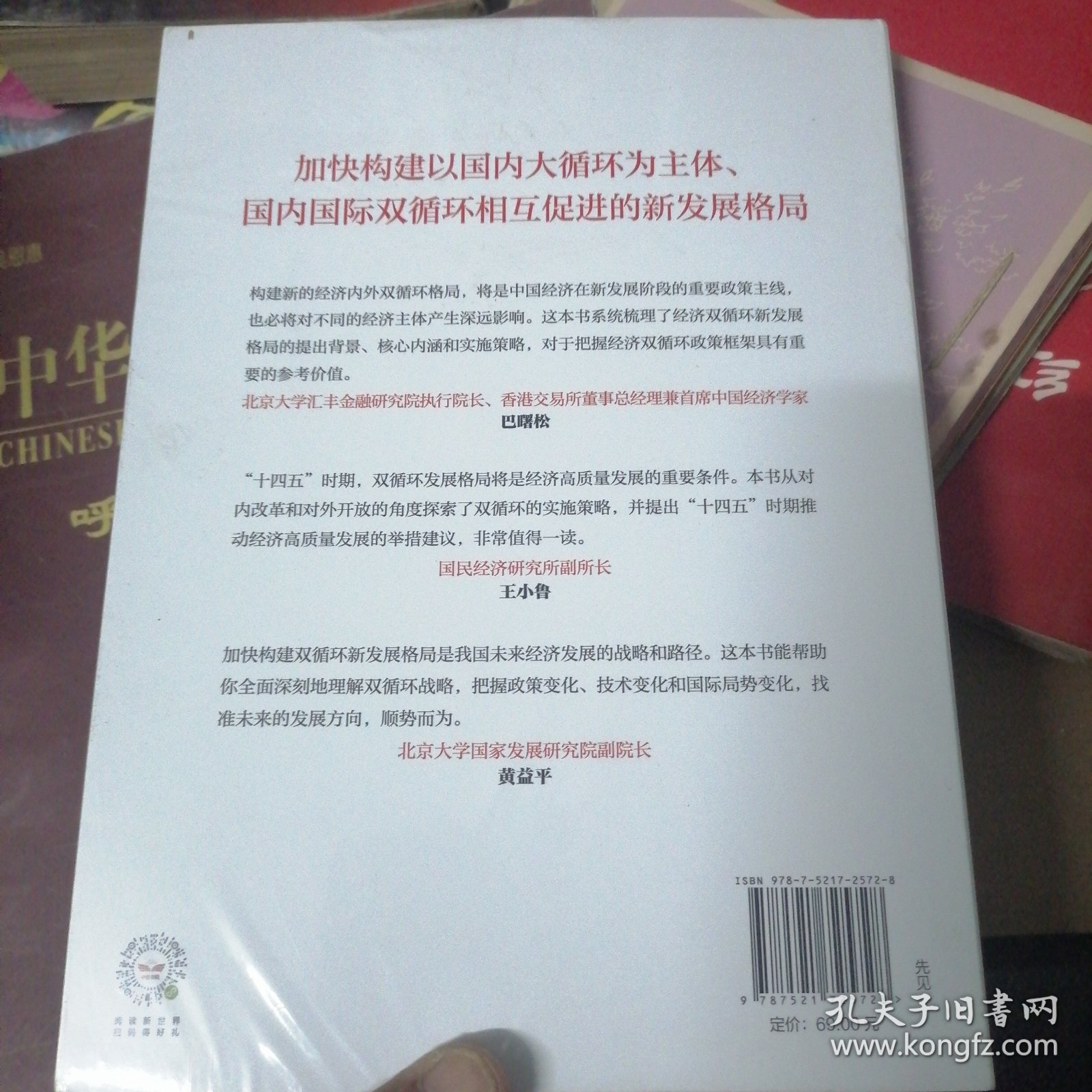 双循环构建十四五新发展格局双循环与我们的关系樊纲作品国家高端智库出品政府和企业推荐读本