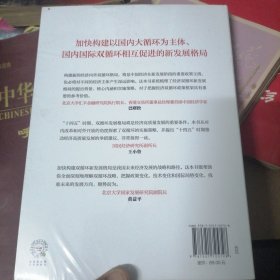 双循环构建十四五新发展格局双循环与我们的关系樊纲作品国家高端智库出品政府和企业推荐读本