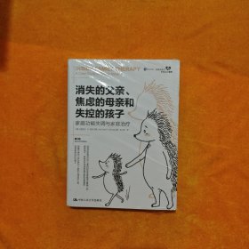 消失的父亲、焦虑的母亲和失控的孩子：家庭功能失调与家庭治疗（第2版）