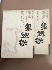 恨透铁 上下册