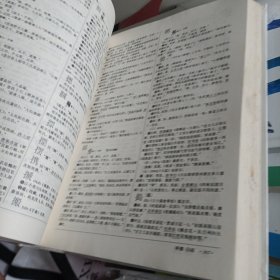 汉语大字典:简编本贰
