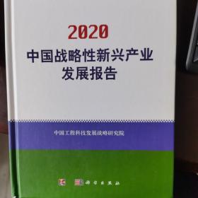 2020中国战略性新兴产业发展报告