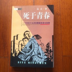 死于青春:一个年仅十九岁的警察的悲壮故事