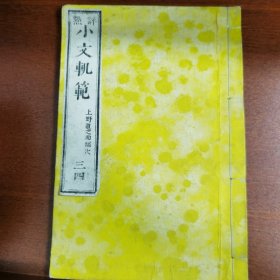 线装 点评《小文规范》卷三卷四 上野道之助 1878年