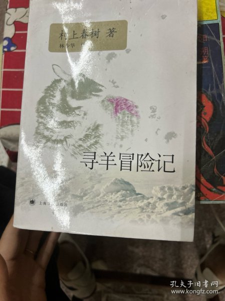 寻羊冒险记