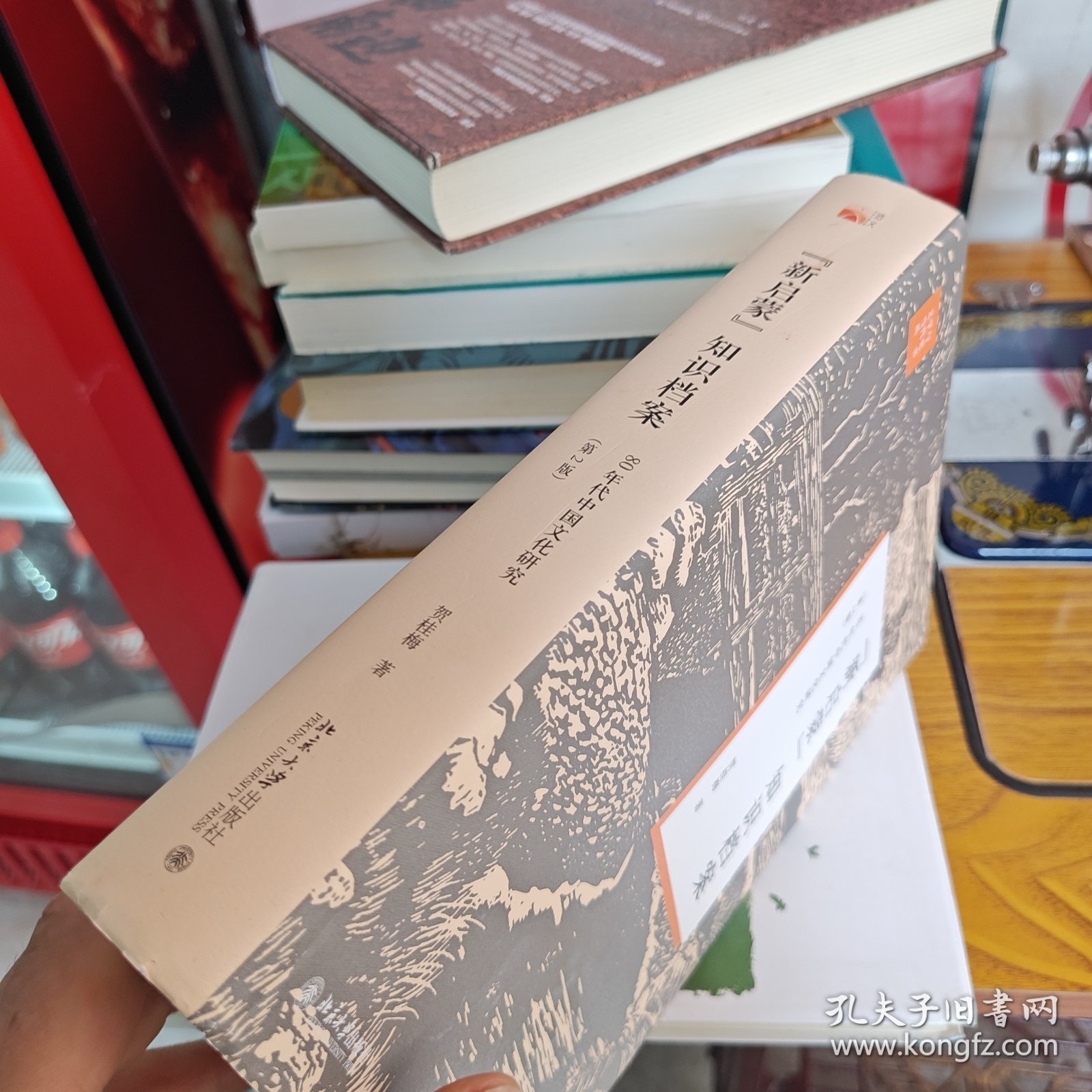 “新启蒙”知识档案：80年代中国文化研究（第2版）