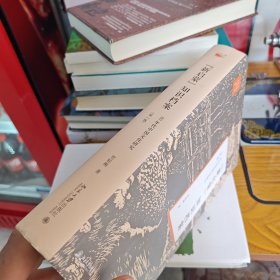 “新启蒙”知识档案：80年代中国文化研究（第2版）