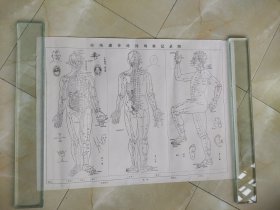 经络感传路线记录图图一二三。