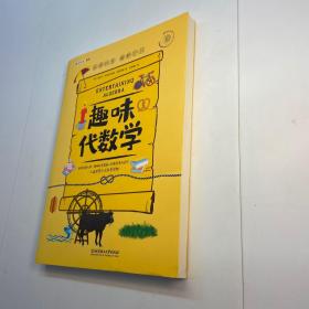 趣味代数学 【 正版现货 多图拍摄 看图下单 】