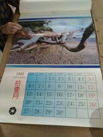 挂历1989年  吉祥如意 (缺5月.7月.)