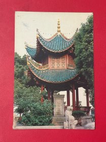 （实寄片）明信片：仙梅亭 1989年元旦 雕刻版普票（湖南省邮政管理局）