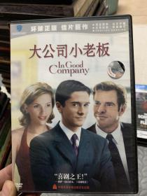 中录德 大公司小老板 DVD