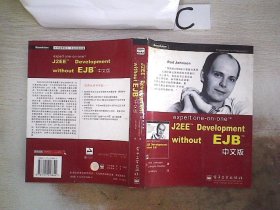 expert one-on-one J2EE Development without EJB 中文版