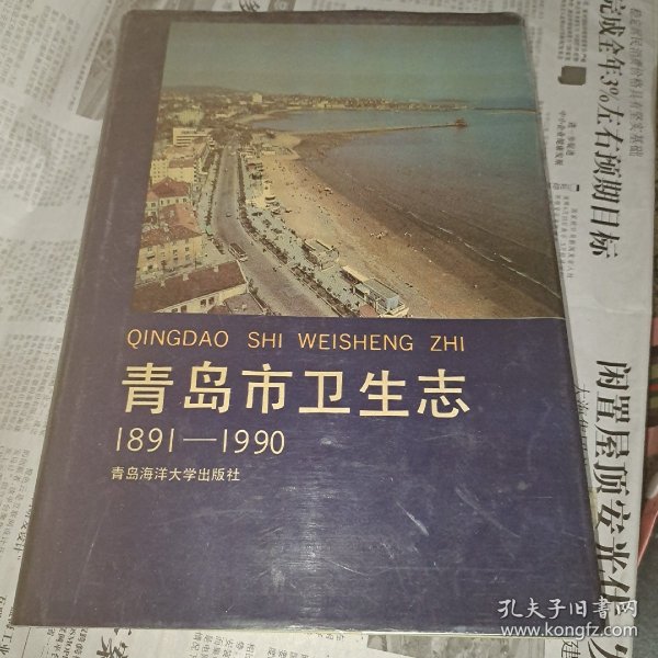 青岛市卫生志  (1981年~1990年)