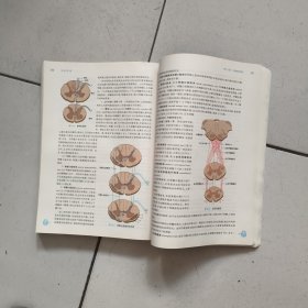 (十三五规划教材)系统解剖学(第9版/本科临床)包正版