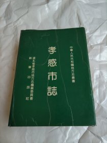 孝感市志.
