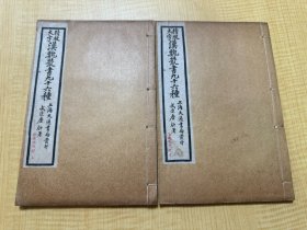 朱墨双色批校本《淮南鸿列解》2册全、书内满批，字极为精美，以宋本、陈方琦等本为底本，满批，极为珍贵，品相完美。