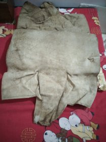 狐狸皮长104㐅33cm，老印章，29号