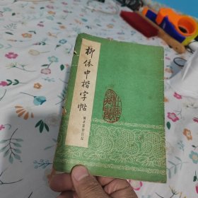 柳体中楷字帖 摘录雷锋日记